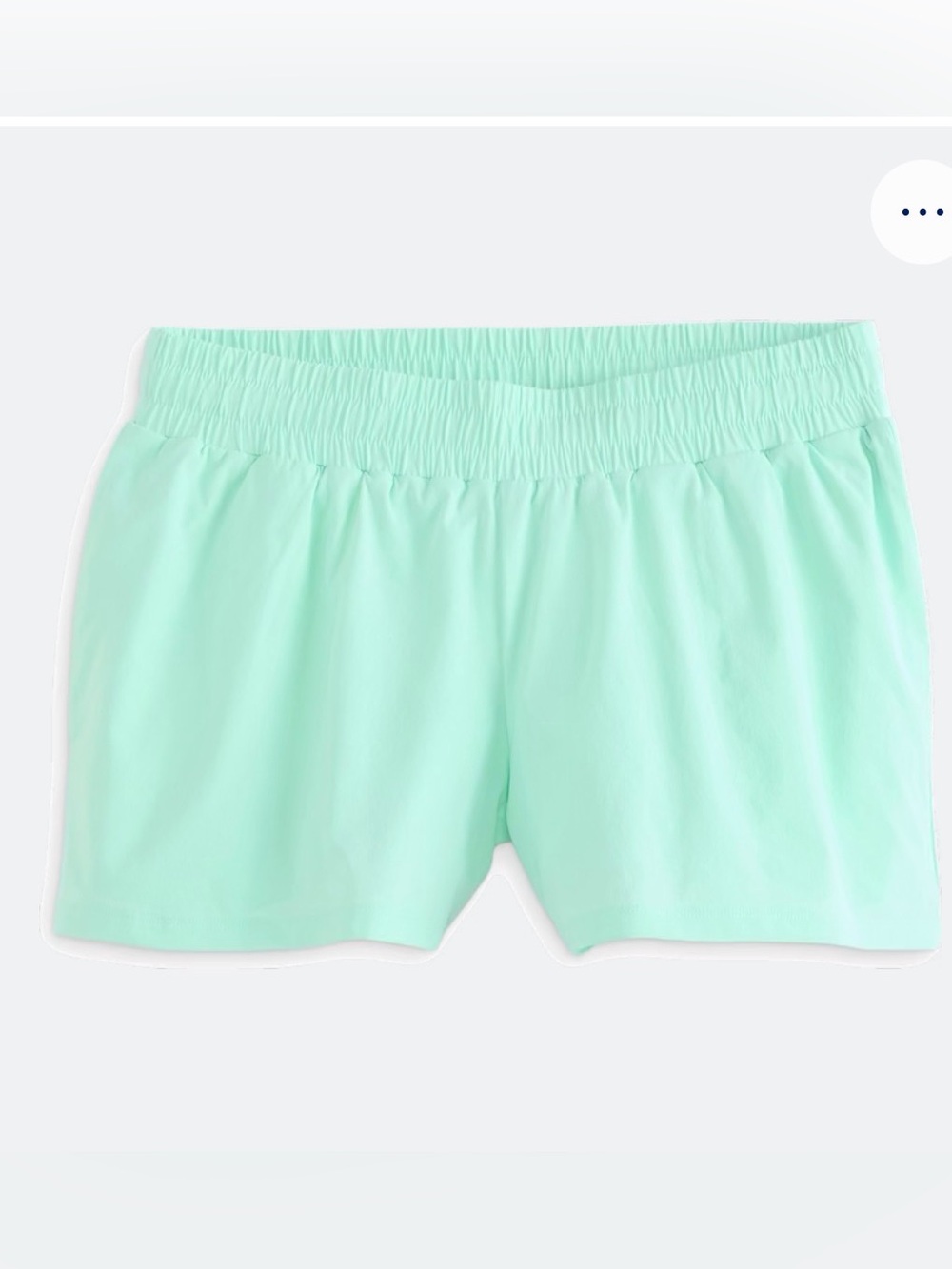 We Wander Mint Green Woven Stretch Shorts- NWOT
